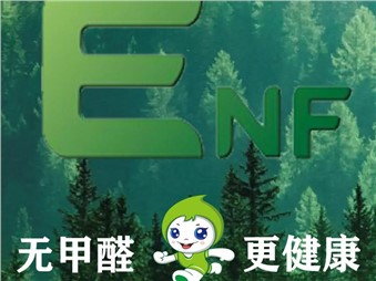 環(huán)保、健康、耐用、美觀的寰宇ENF級板材是您值得信賴的家居材料